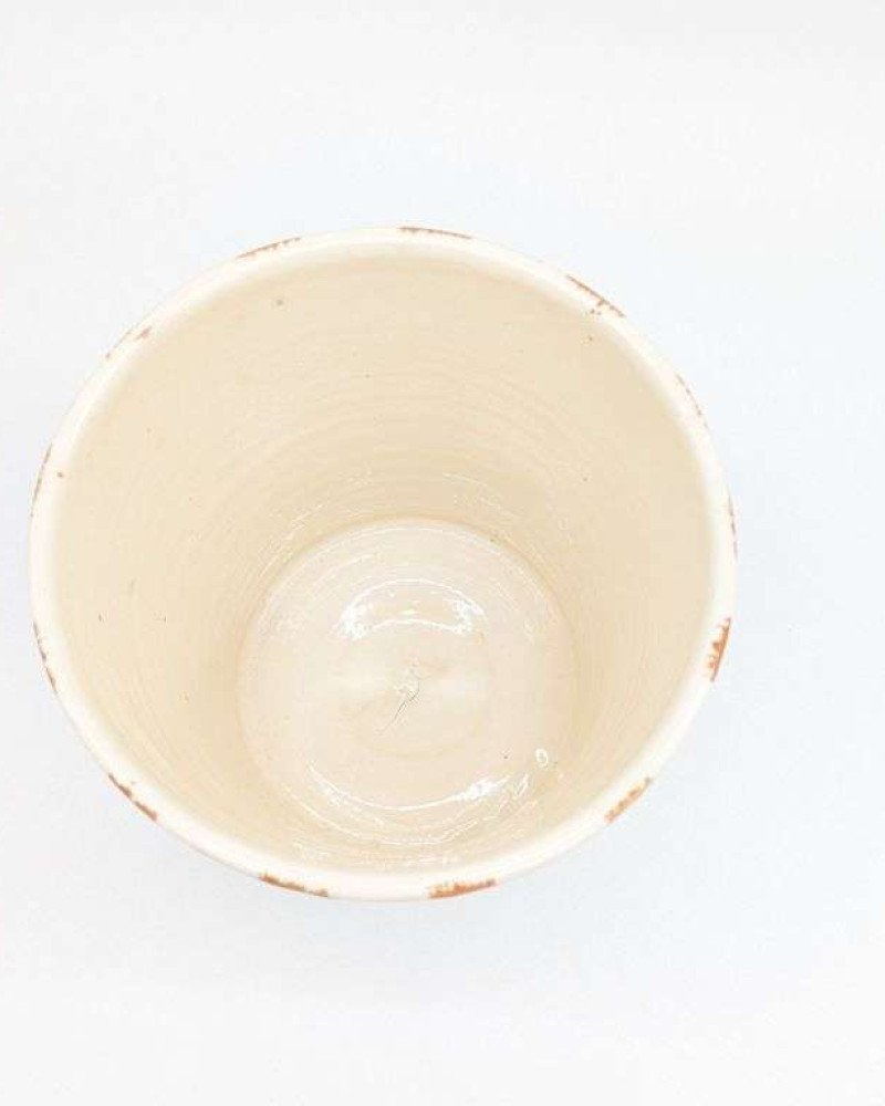 Stor Blomkruka Randig Beige