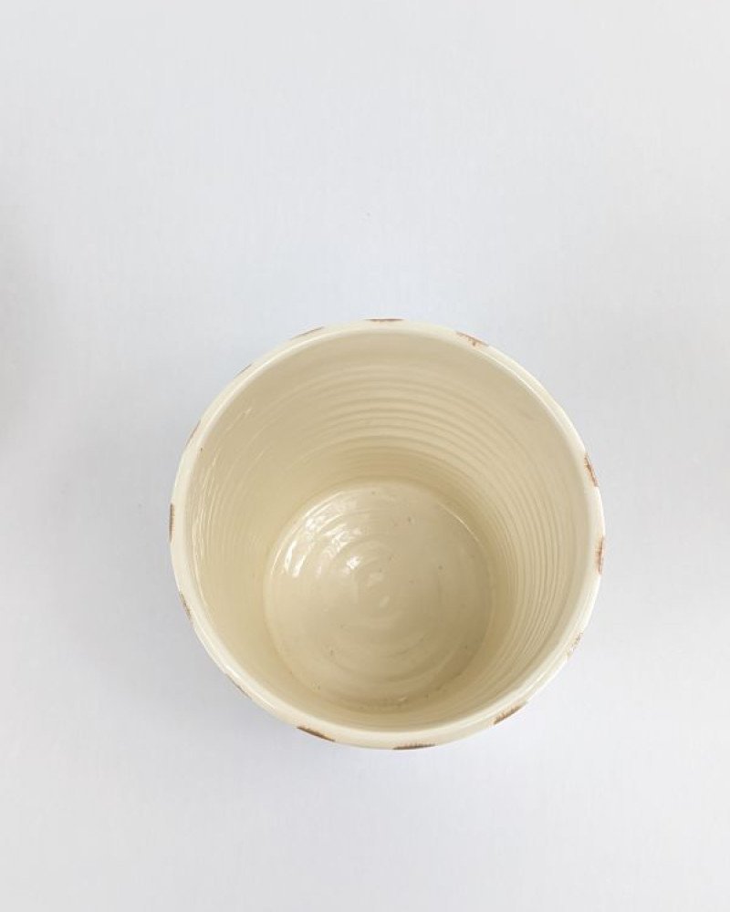 Mellan Blomkruka Randig Beige